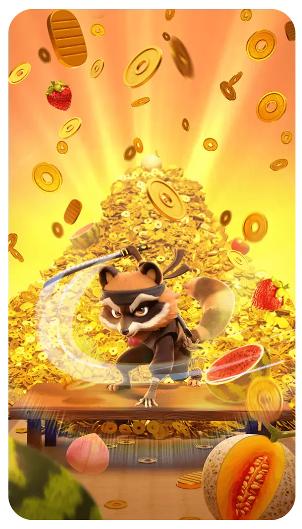 Ninja Raccon