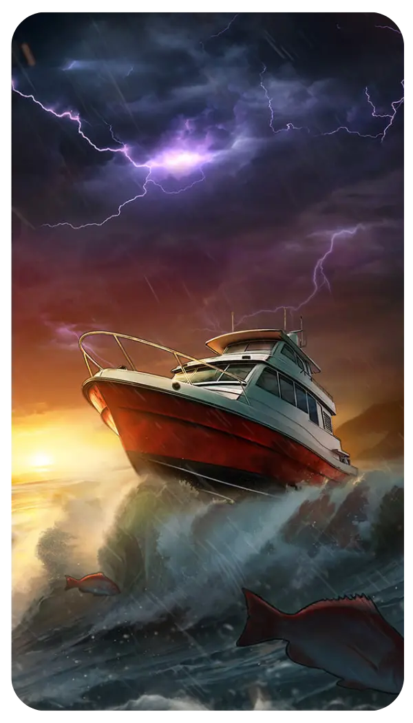 Bounty Shark